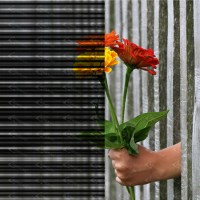 Geometric Stripe Black